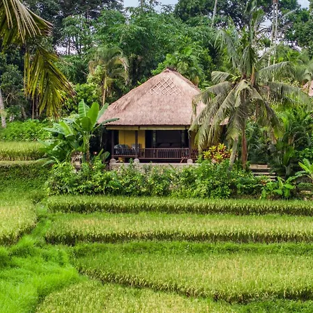 Imperial Villa In Ubud - Majestic Beauty And Nature